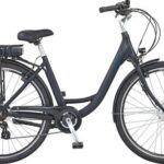 Prophete E-Bike Geniesser e6000