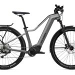 Flyer Goroc2 2.10 Diamant