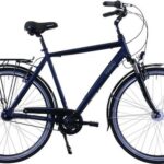 HAWK Bikes Cityrad »Gent Deluxe«