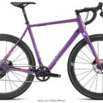 Fuji JARI Carbon CX