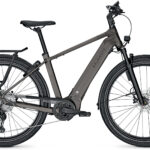 Kalkhoff Endeavour 5.B Advance+