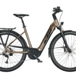 KTM MACINA TOUR P510 oak 2022