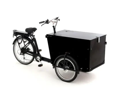 Babboe Pro Trike-E 300L