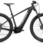 Radon Jealous Hybrid