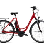 Raleigh Cardiff LB Plus R 28 Zoll