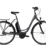 Raleigh Cardiff LB Plus R 28 Zoll
