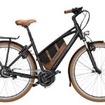 Riese und Müller Cruiser Mixte