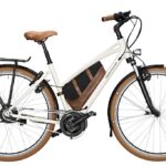 Riese und Müller Cruiser Mixte